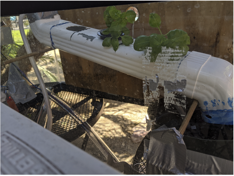 Senior Design: Smart Hydroponic System